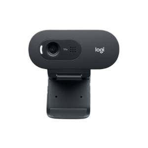Logitech C505e