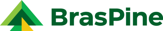 logo_braspine_horizontal_positivo_cor_rgb