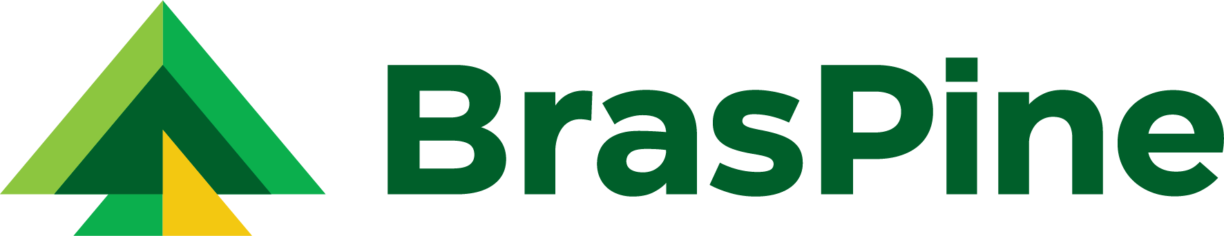 logo_braspine_horizontal_positivo_cor_rgb